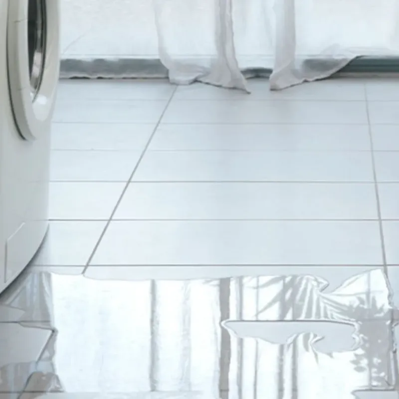 Appliance Leak Cleanup in Clovis, CA