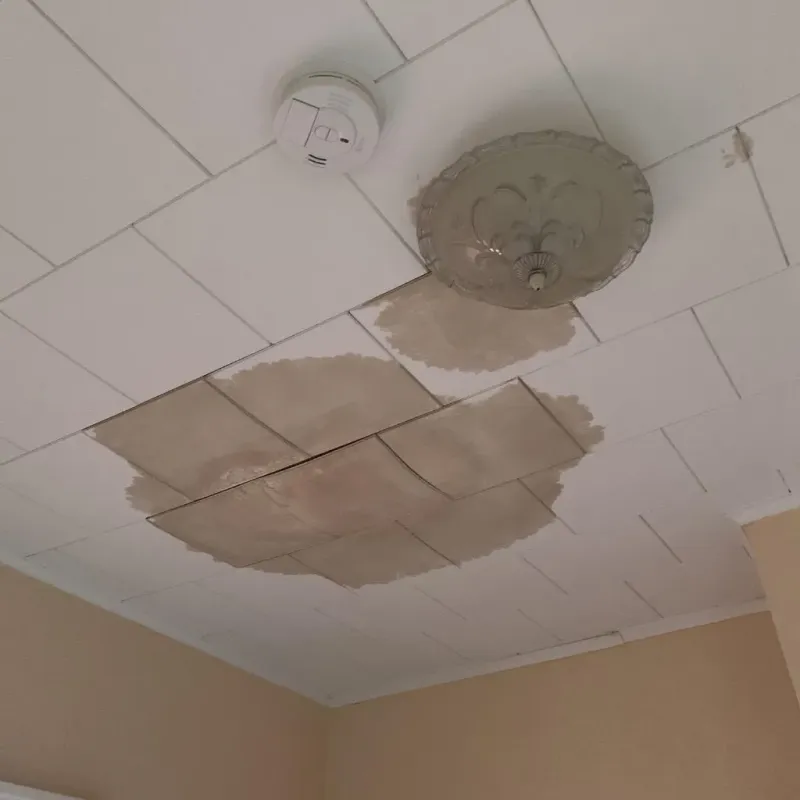 Ceiling Water Damage Repair in Clovis, CA